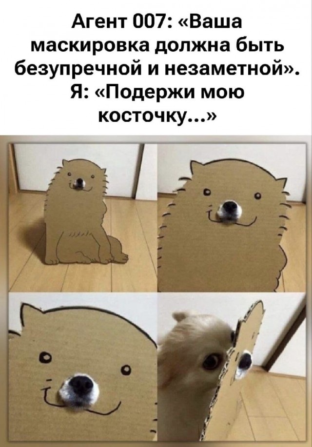 Так себе картинки 18.02.26