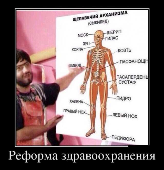 Лиза молодец.