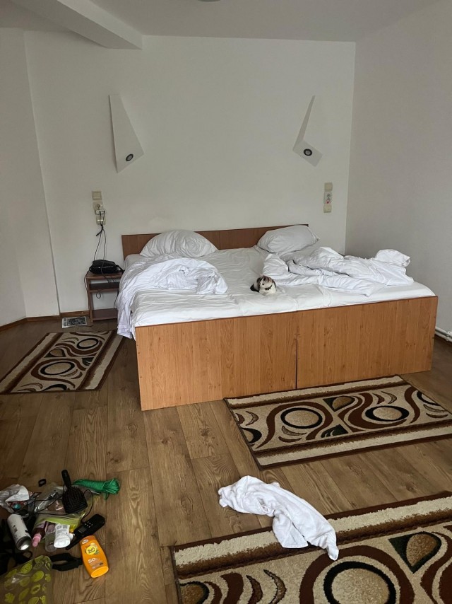 Котëнок с румынской дороги