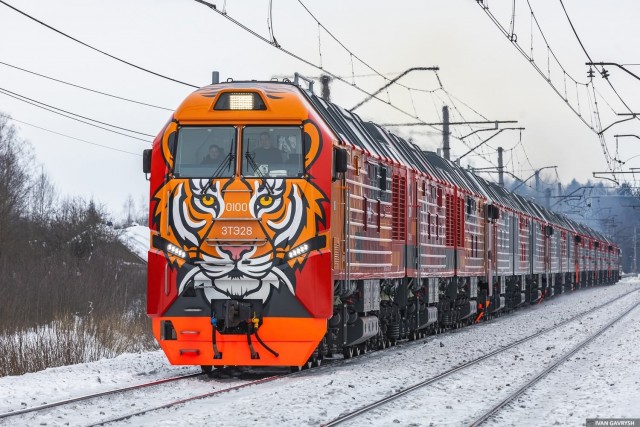 Хищный красавец из Брянска