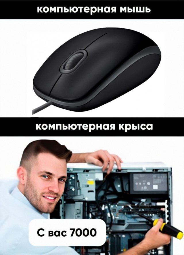 Российская компания Tramplin Electronics заявила о создании новых процессоров «Иртыш».