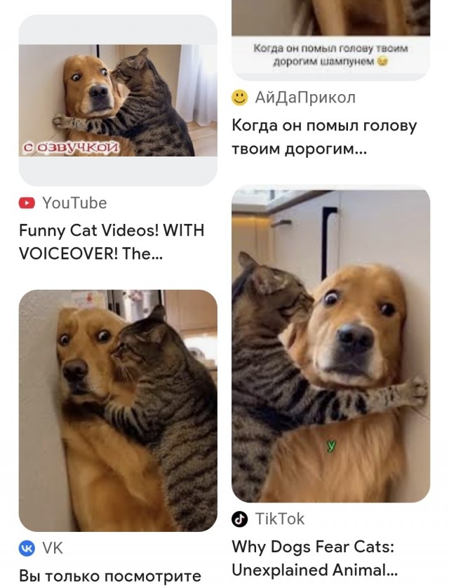 Когда он помыл голову твоим дорогим шампунем