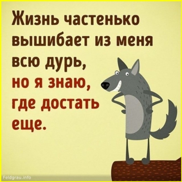 Веселые картинки в маленькую пятницу (08.07)