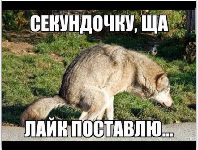 Эта девушка Ребекка Афолаби представляет Великобританию