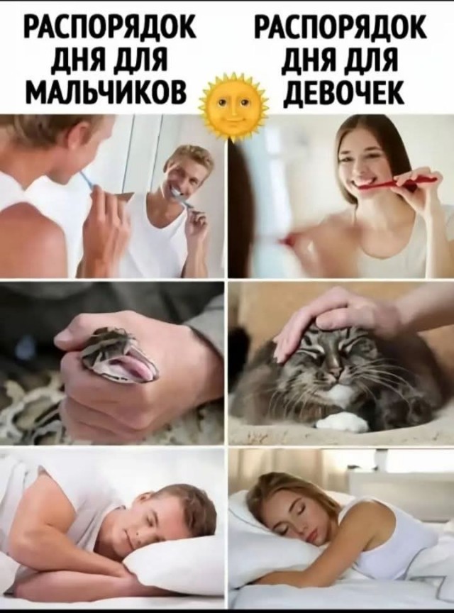 Веселые картинки в понедельник (12.10)