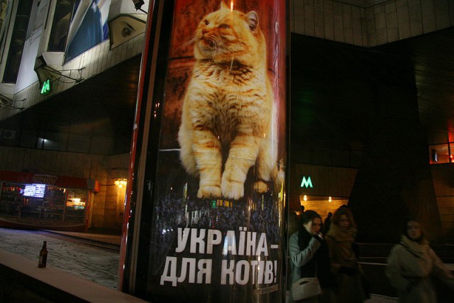 А раньше были котики...