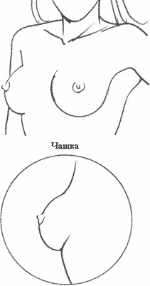 Тема сисек или как Рисовать женскую грудь.
