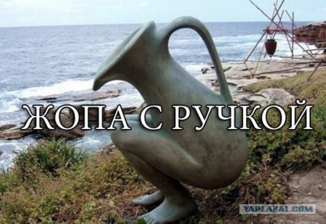 Ах ты ж хитрая жопа