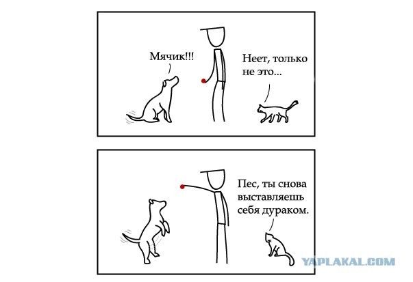 Кошки такие кошки