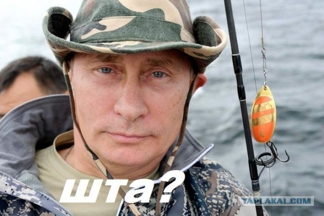 Владимир Путин не появлялся на публике с 6 марта