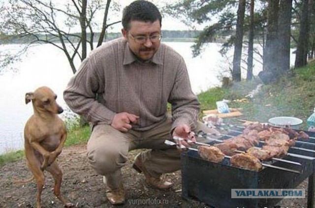 9 заповедей шашлычника