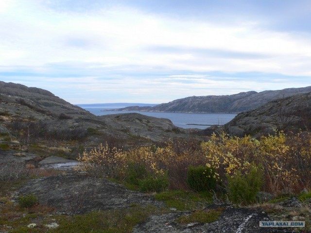 Немного Северной лирики