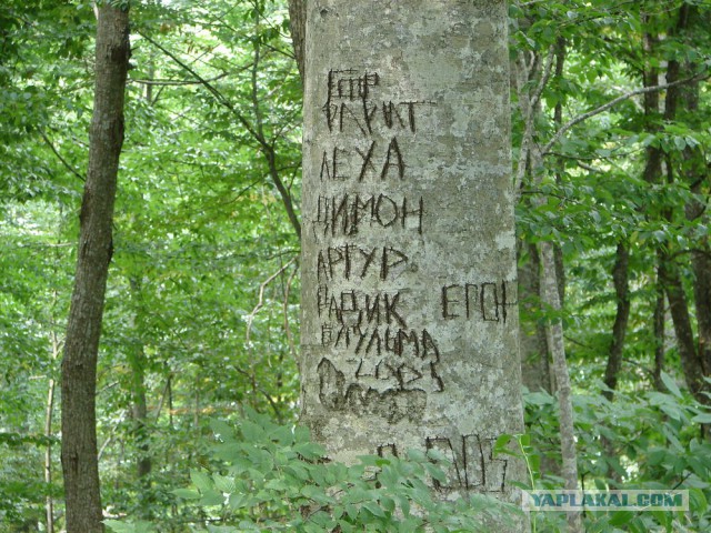 Индюк - Семашхо