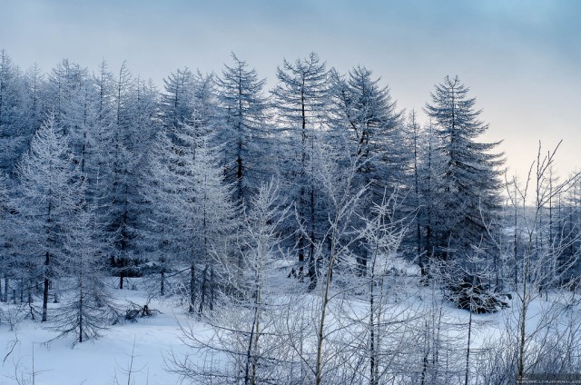 Колыма: первая корюшка 2016, как это было...