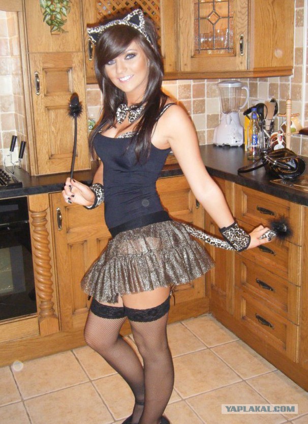 Правильные зайцы и кошки