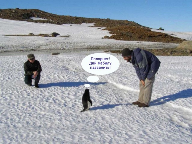Фотожаба: Полярники окружают!