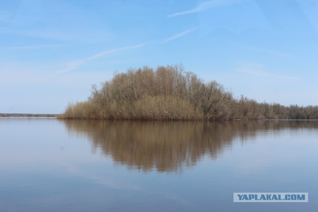 Одиночный поход с ночевкой, как вариант прощания с зимой