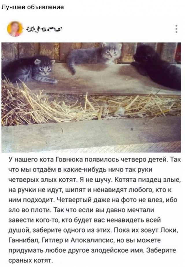 20 объявлений –  примеры смекалки и юмора