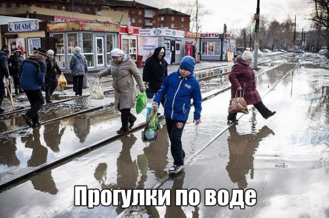 Подборка безудержного веселья