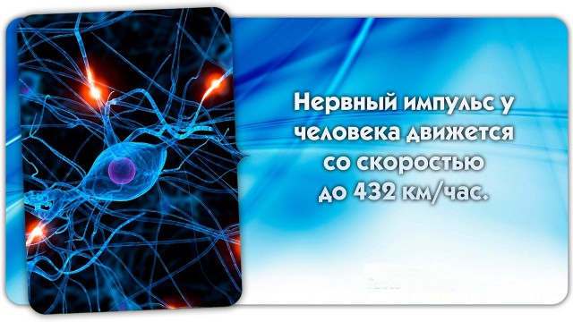 56 неожиданных фактов о большинстве которых вы не знали.