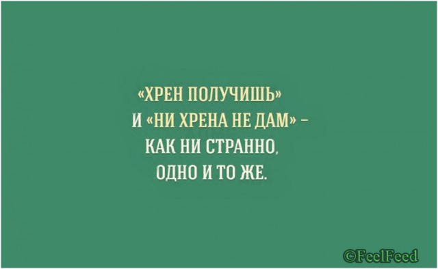 Не ссы, ссы!