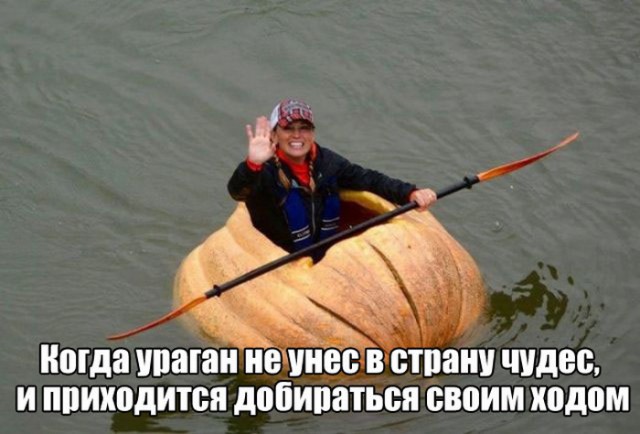 130 картинок для поднятия настроения!