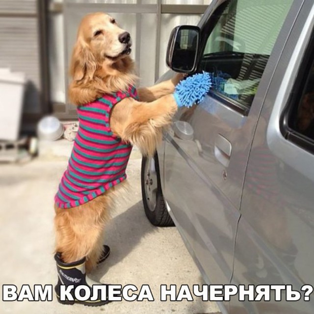 Нестандартный юмор