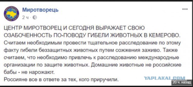 Киев соболезнуют семьям погибших в Кемерово