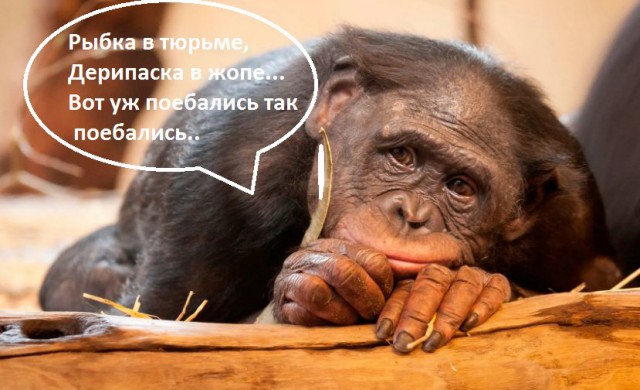 Срочно! Помогите спасти жертв произвола!