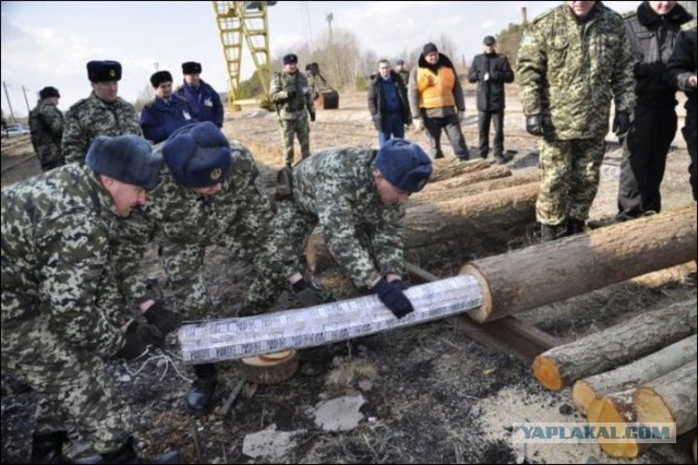 На границе выловили нашпигованную финским сыром покрышку