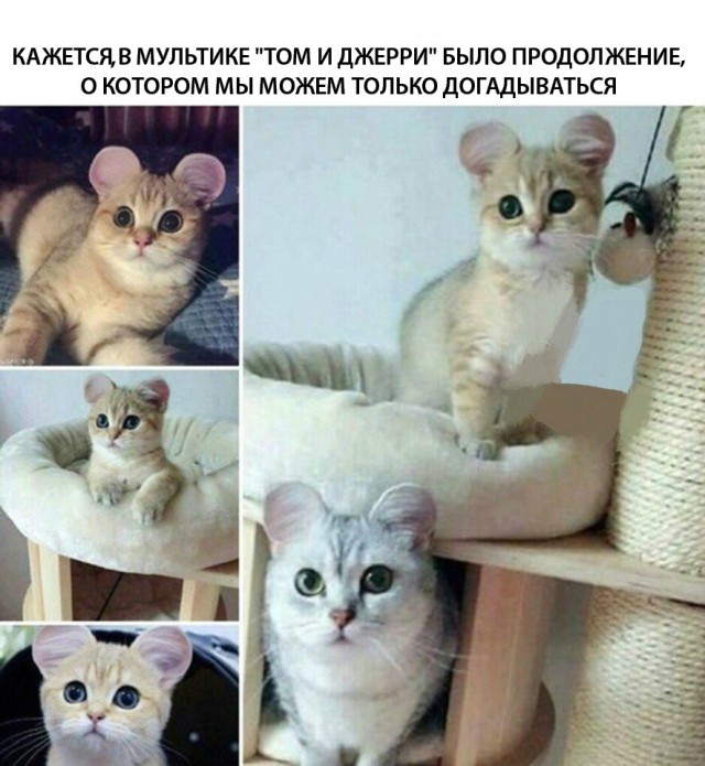 Нестандартный юмор