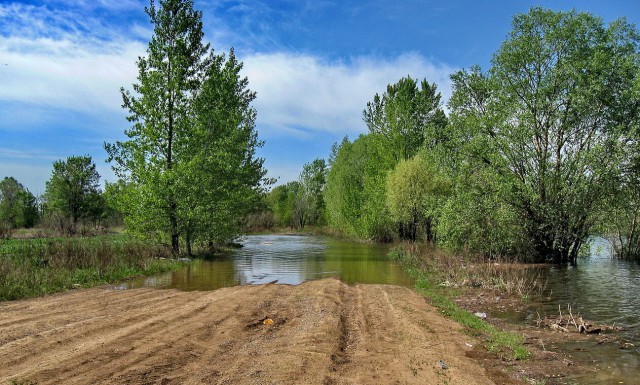 Красота сельских дорог