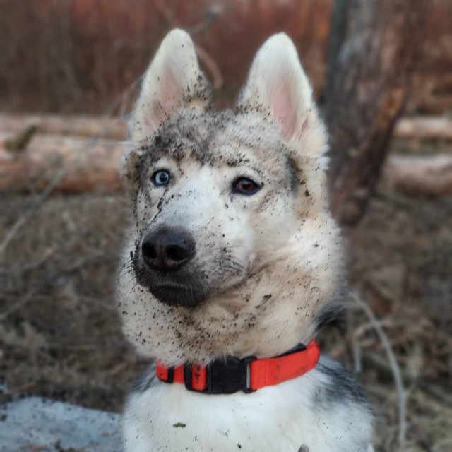Мама самая лучшая на свете!!!