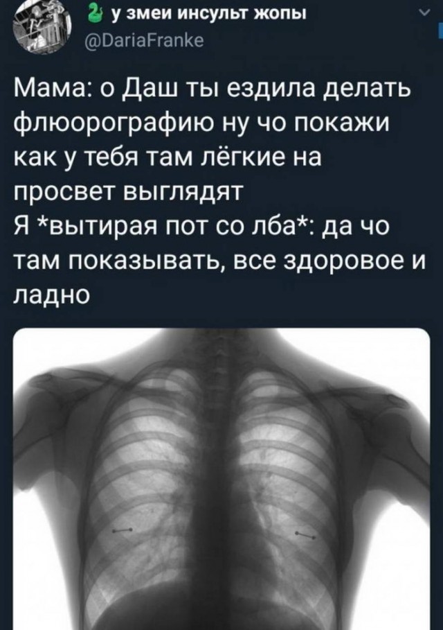 Гуляет Алиса по шахматным клеткам, или шоколадка за нольпятку