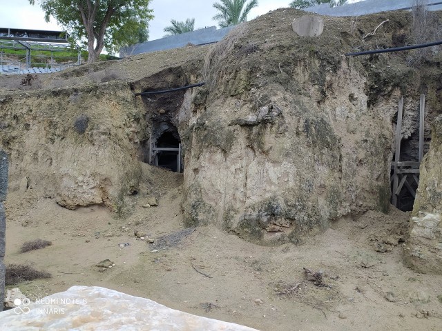 Национальный парк Израиля - Скифополис\Бэйт Шан. Прогулки по Израилю