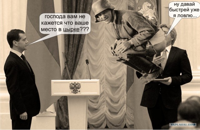 Военная жертва современной жабы