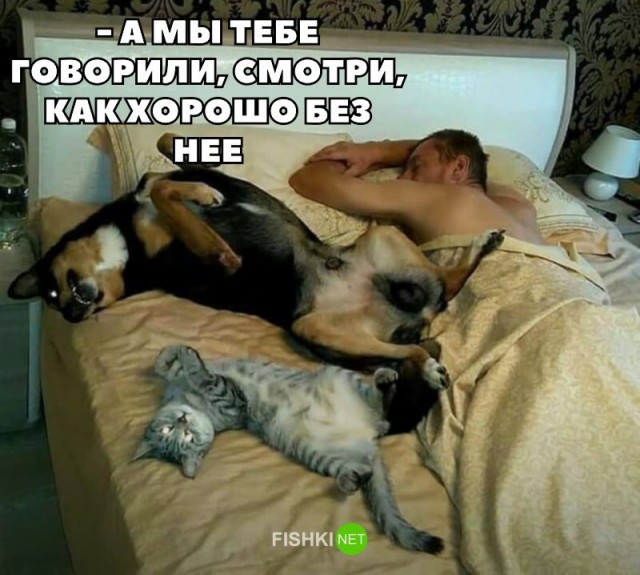 Картинки и мемы для настроения 030