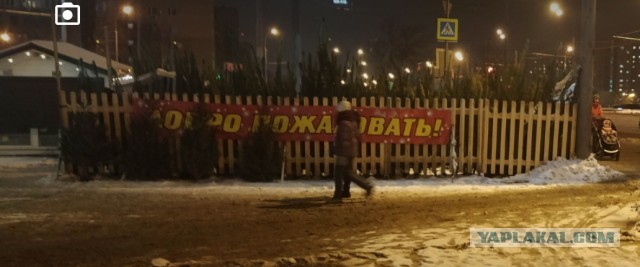 Не понимала, почему Виктор меня мышкой называет, пока не обнаружила целый зоопарк в его телефоне