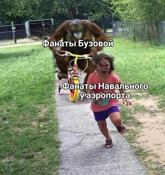 Стрим возвращения Навального из Берлина во Внуково