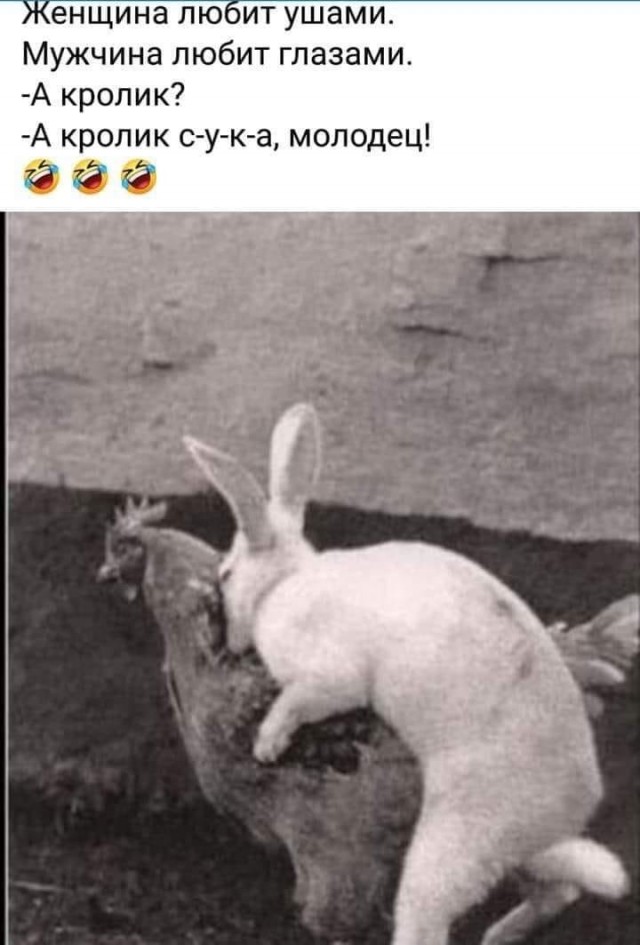 Лаф