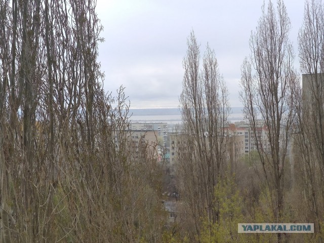Все деревья а серебре, пляшут зайцы на горе, на реке сверкает лёд, наступает...