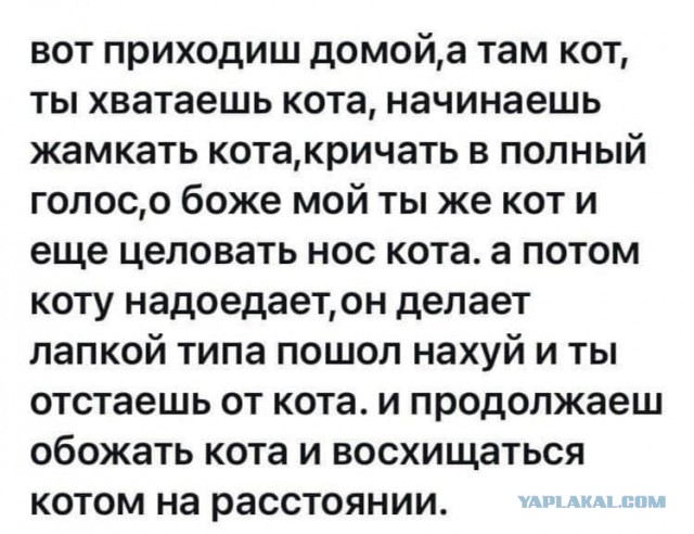 Немного юмора...Часть 1
