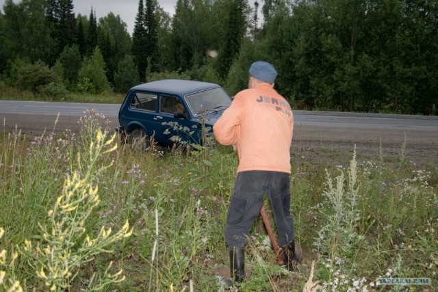 Тайга, сибирь, конец июля 2010
