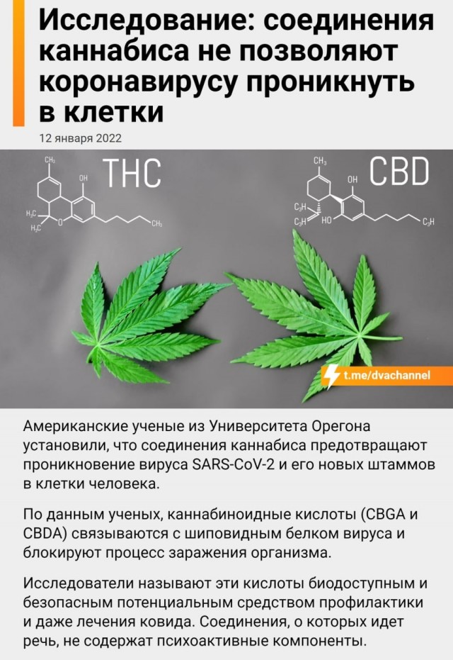 "Отброшен весь опыт медицины!" Научный сотрудник раскритиковал перечень противопоказаний к вакцинации