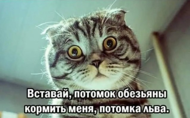 Разное