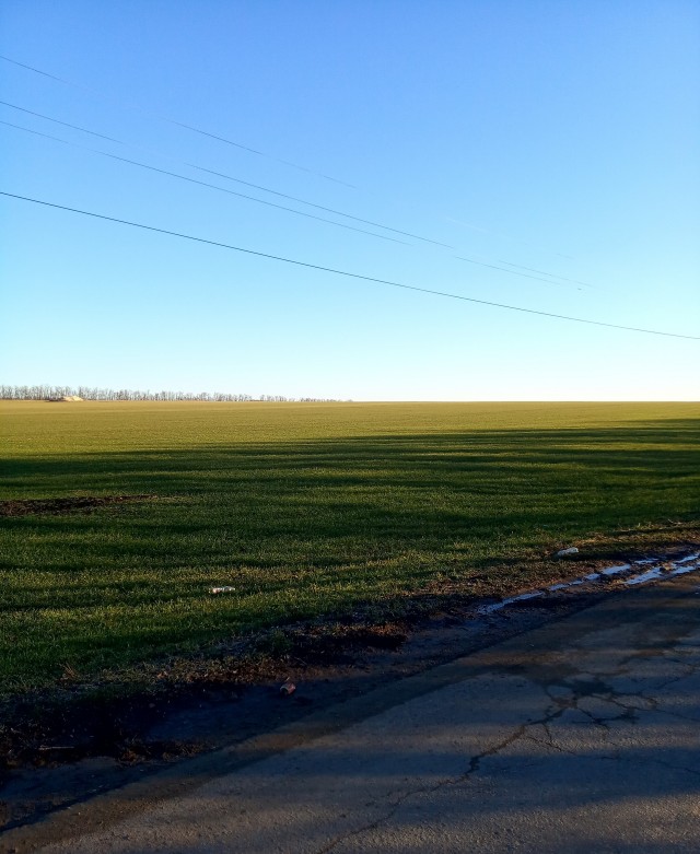 Пандемия. Коронавирус. Россия и мир. Часть 29