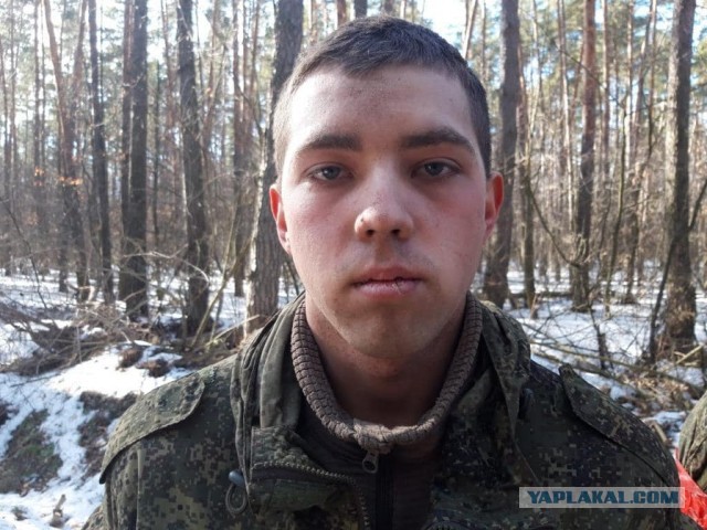 Украинцы продолжают сдаваться