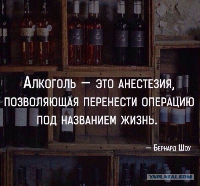 Алкопост 9.07.22