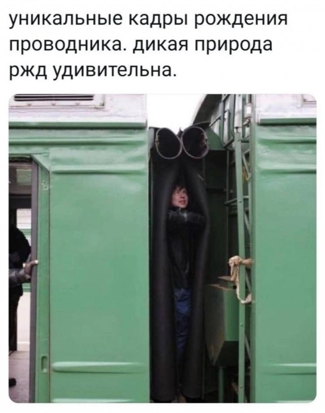 Картинки и мемы. Выходные близко, близко...