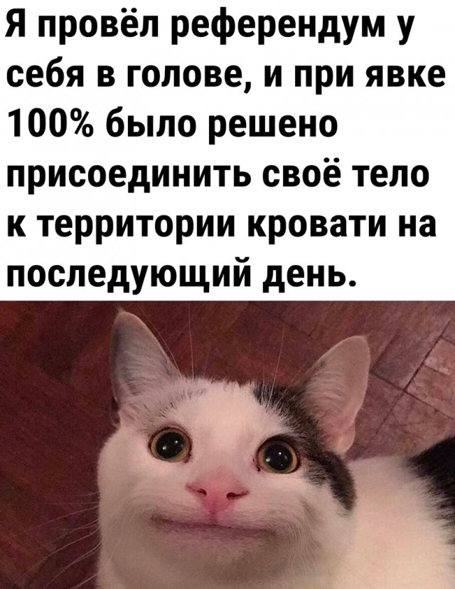 Так себе картинки 08.10.22